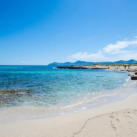 Yourhouse Es Cardinal *