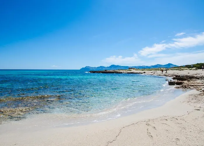 Yourhouse Es Cardinal *